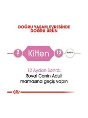 Royal Canin Kitten 4 kg 252204000