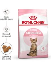 Royal Canin Kitten Sterilised Kısırlaştırılmış Yavru Kedi Maması 2 kg 256202000