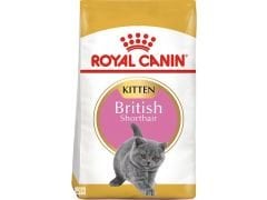 Royal Canin Kitten British Shorthair Yavru Irk Kedi Maması 2 Kg 256602000