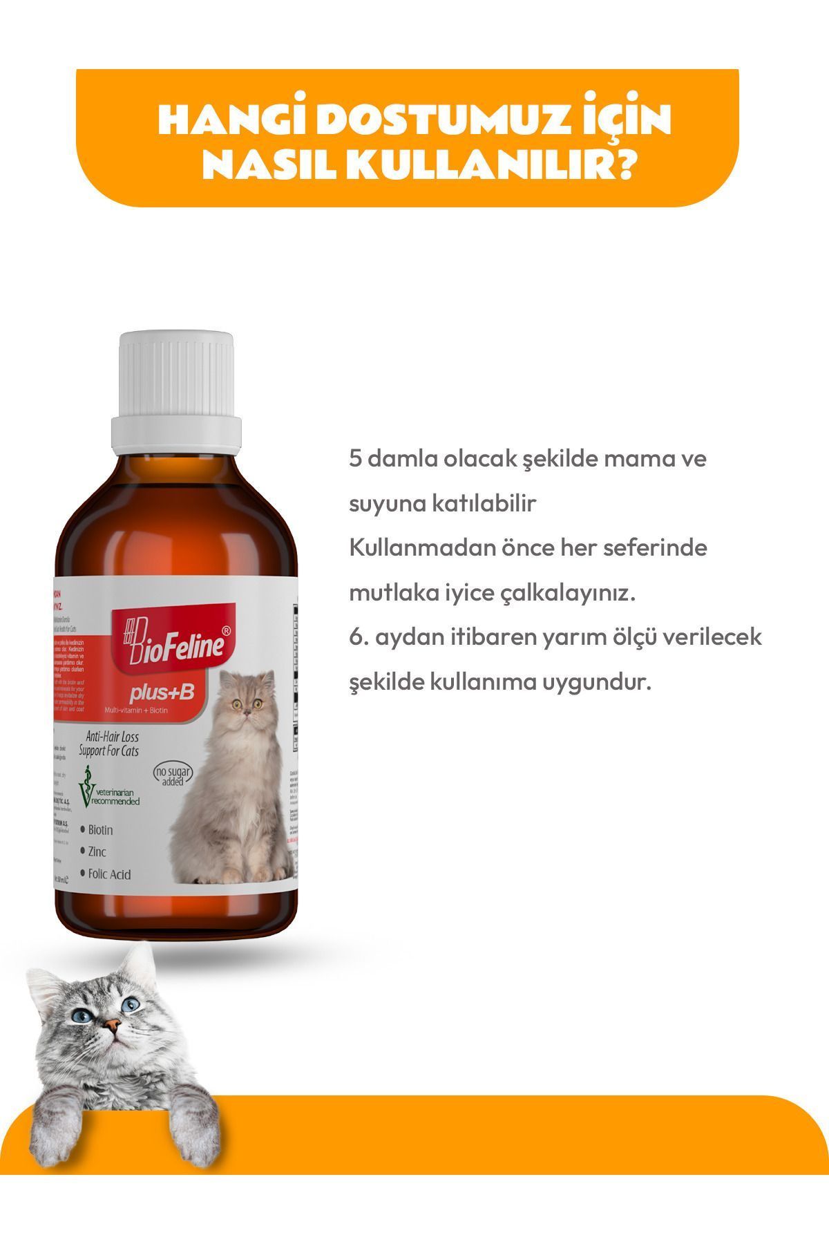 Biofeline Plus+B for Cats 50 ml Kediler için Tüy Sağlığı Damlası