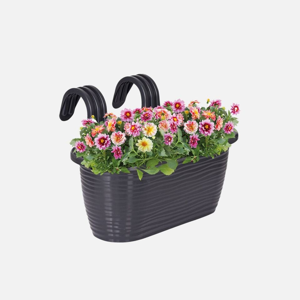 SAKSI BALKON CAMELLIA TOMBİK ANTRASİT NO2
