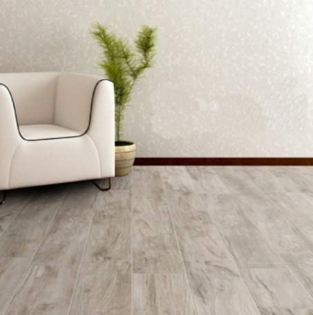 KAMPANYA\20X120 SAVANNAH SILVER