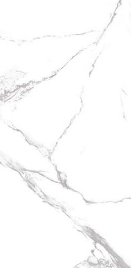 60X120N NEO CALACATTA SILVER FUL POLISH REK.