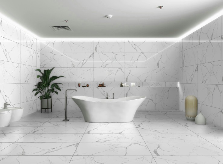 60X120N NEO CALACATTA SILVER FUL POLISH REK.