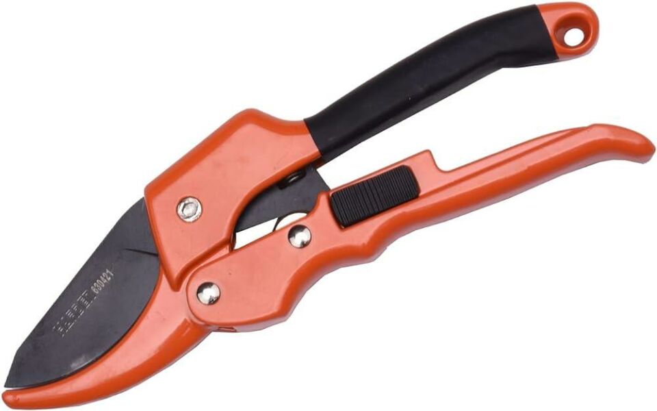 BUDAMA MAKASI ÖRSLÜ PAPAĞAN 8''