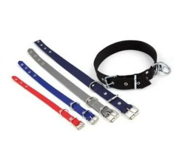 KÖPEK TASMASI BASİT 2.5 CM