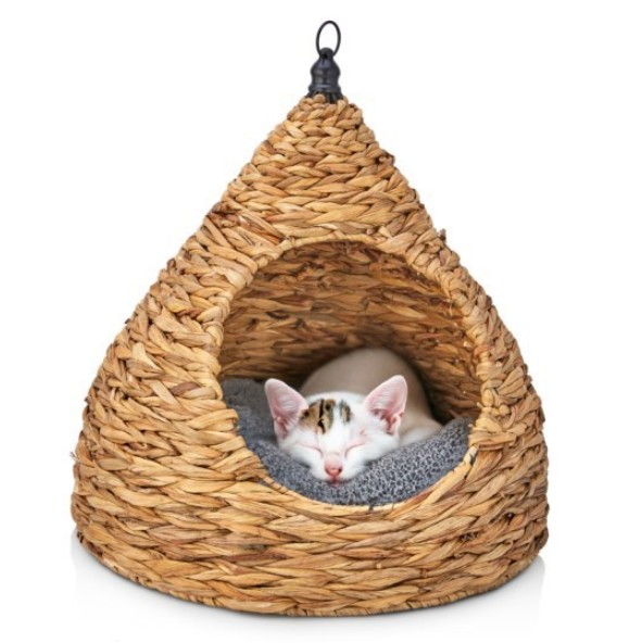 KEDİ SEPETİ ARMUT