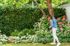 Bosch EasyGrassCut 23 Kenar Kesme Makinesi