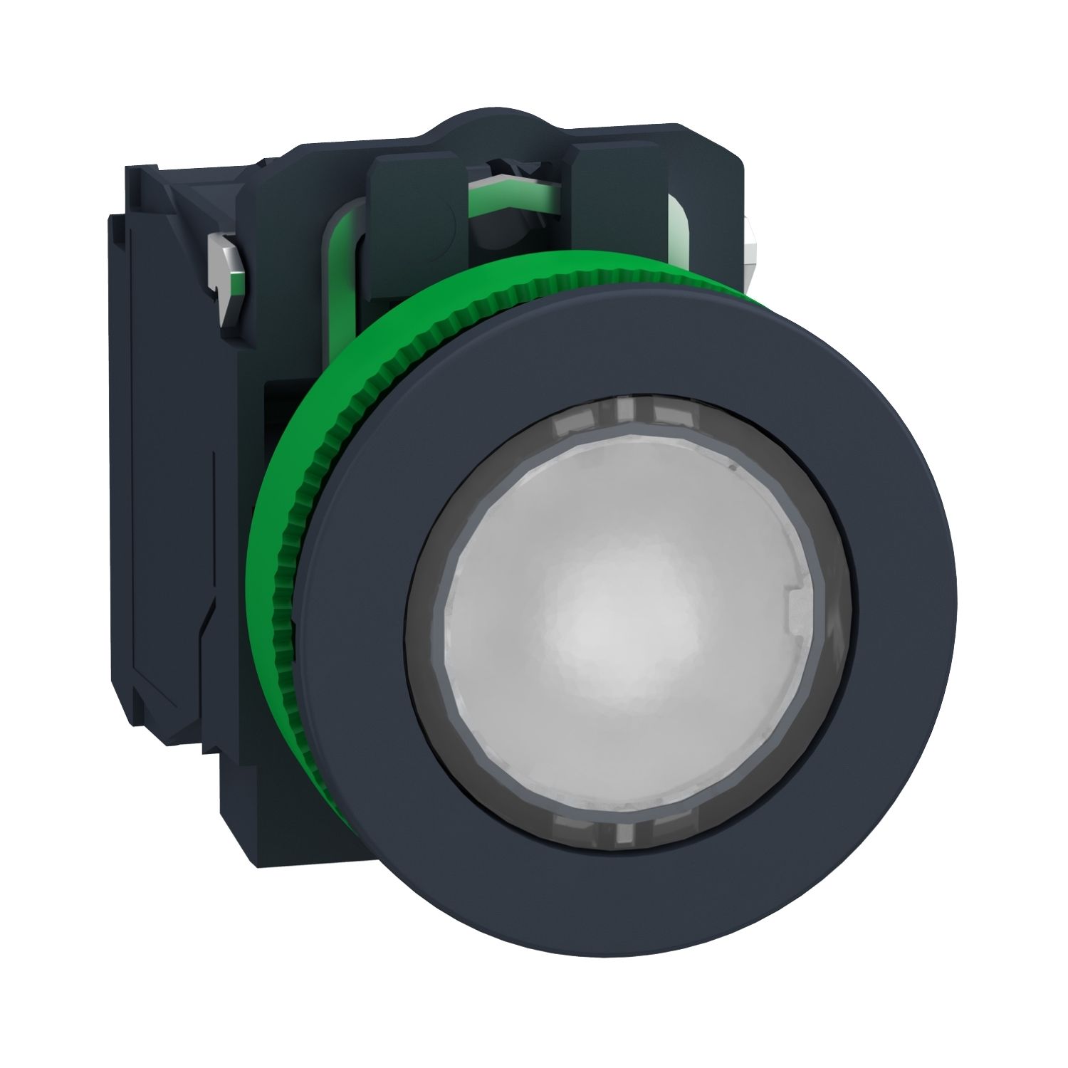 XB5FW31B5 | Schneider Işıklı, yaylı butonlar LED 24 VAC /DC Yeşil 1 NA+1 NK