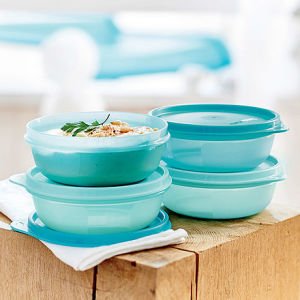 Tupperware Buzdolabı Saklama Kabı 300 ml 4lü Set
