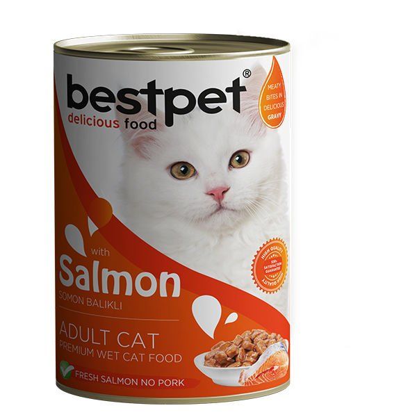 Bestpet Somonlu Jöleli Yetişkin Konserve Kedi Maması 400 Gr