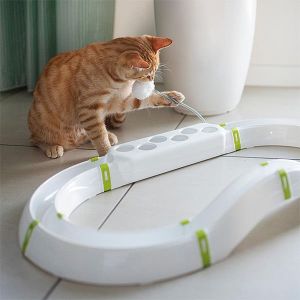 Ferplast Labryrinth Circuit Kedi Oyuncağı 72x40x24 Cm