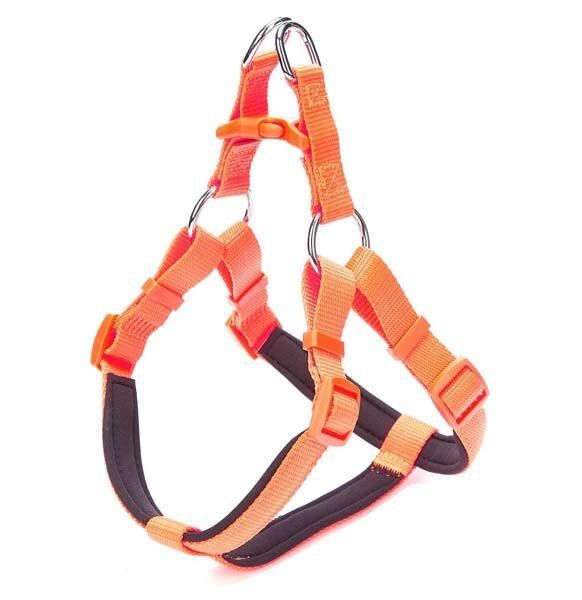 Doggie Comfort Dokuma Ronin Köpek Göğüs Tasması Medium Turuncu 2x45-55 Cm