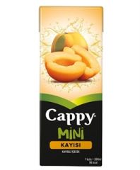 CAPPY KAYISI NEK.TET-200 ML