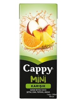 CAPPY KARISIK - 200 ML