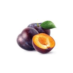 ANJELİKA ERİK KG