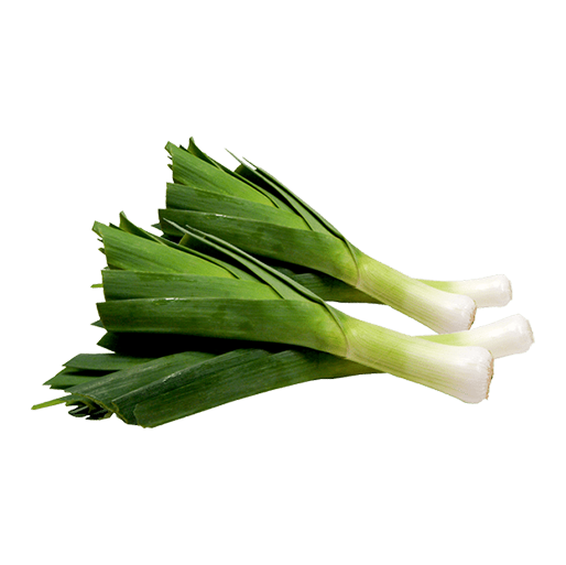 PIRASA KG