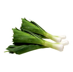 PIRASA KG
