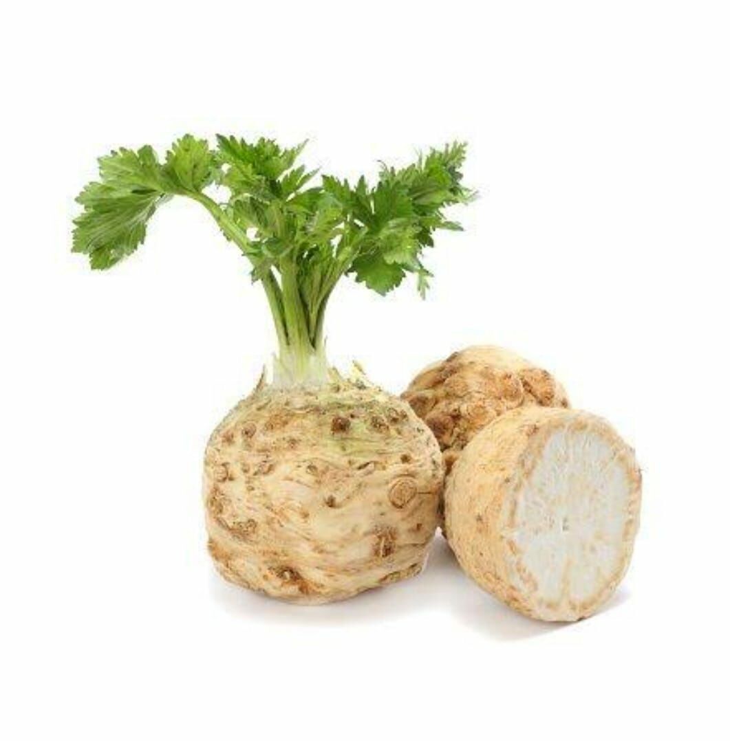 KEREVİZ KÖK KG
