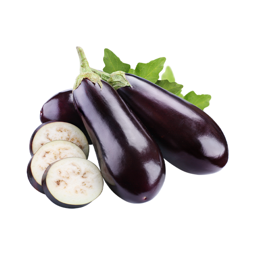 PATLICAN KG
