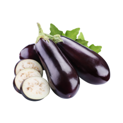 PATLICAN KG