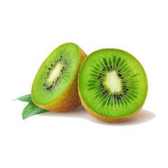 KİVİ KG