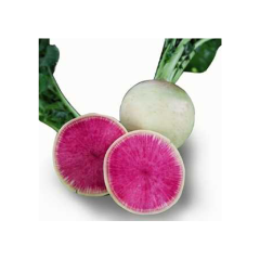 TURP BEYAZ KG