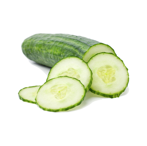 SALATALIK KG