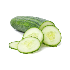SALATALIK KG
