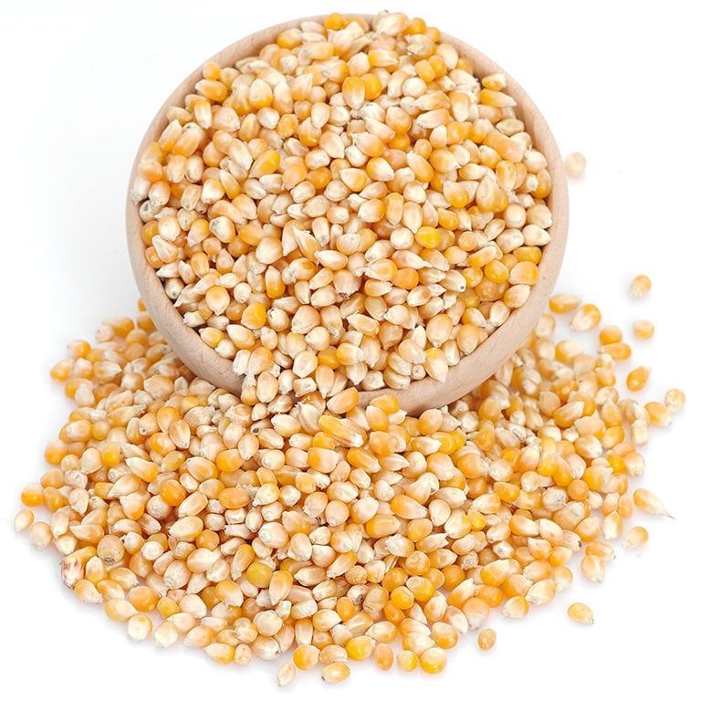 PATLAYAN MISIR KG