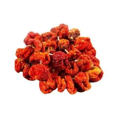 KURUTMALIK DOLMA BİBER ACI