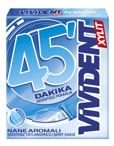 VİVİDENT CÜZDAN 45 DAKİKA 12Lİ