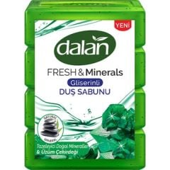 DALAN DUŞ SABUNU DOĞAL MİNERALLİ 600GR