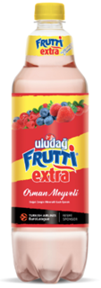 ULUDAĞ FRUTTİ EXTRA ORMAN MEYVELİ 1L