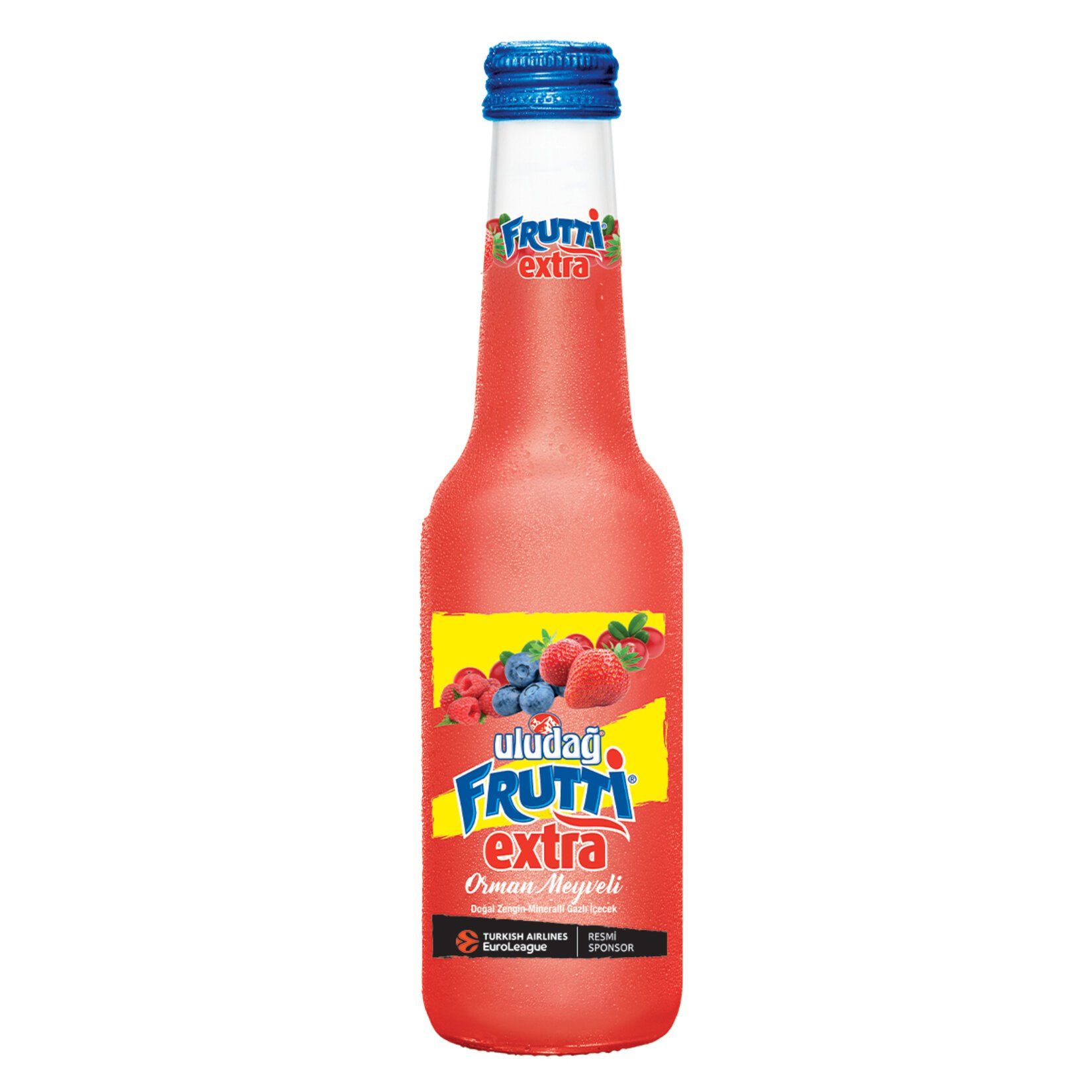 ULUDAĞ FRUTTİ EXTRA ORMAN MEYVELİ 250ML