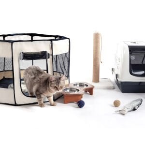 Pawingo Kedi ve Köpek Doğum Evi (Bordo)