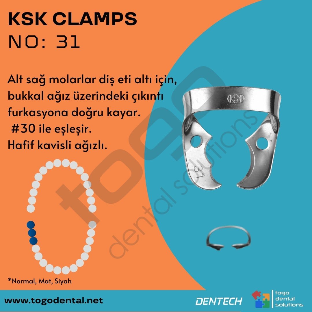 KSK Clamps No:31_ Molar Klemp