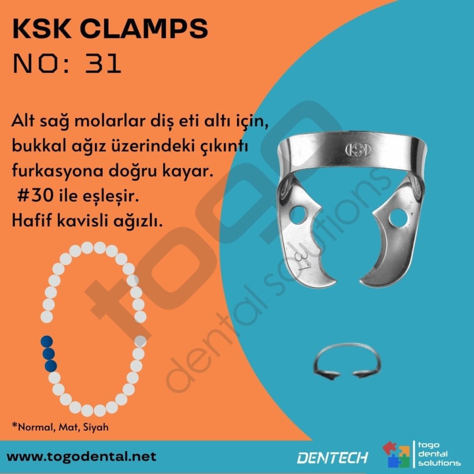 KSK Clamps No:31_ Molar Klemp
