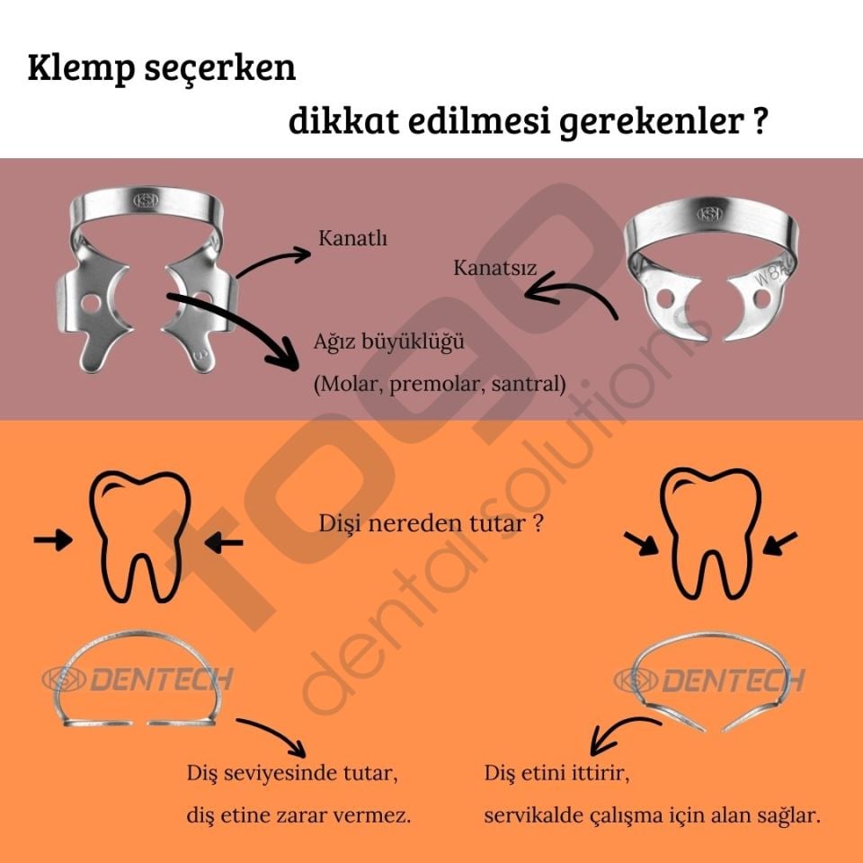KSK Clamps No:G-2_ Molar Klemp