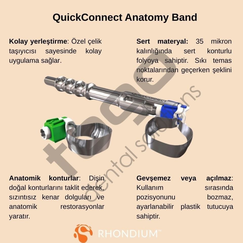 Rhondium QuickConnect Anatomy Band Refill _ Molar_Tabbed(Kulaklıklı) _ Large_45 Adet