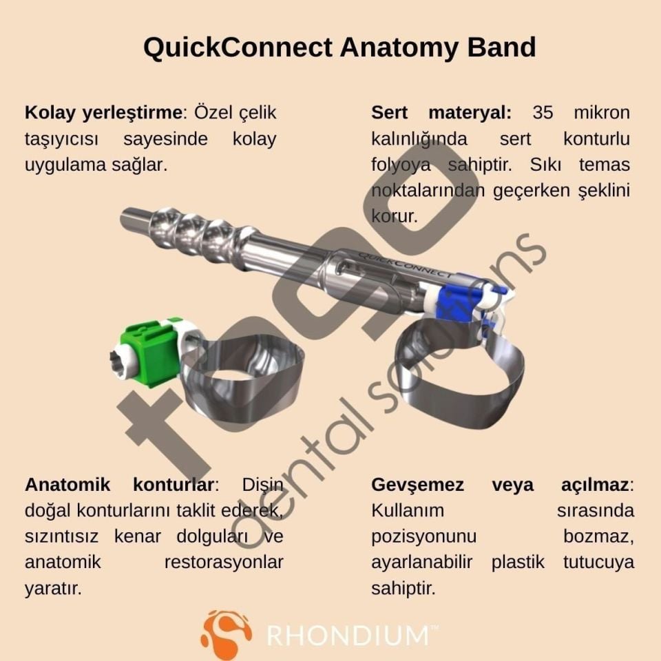 Rhondium QuickConnect Anatomy Band Refill _ Molar_Regular_ Large_50 Adet