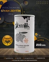 800 gr Gemlik Siyah Zeytin (261-290 kalibre)