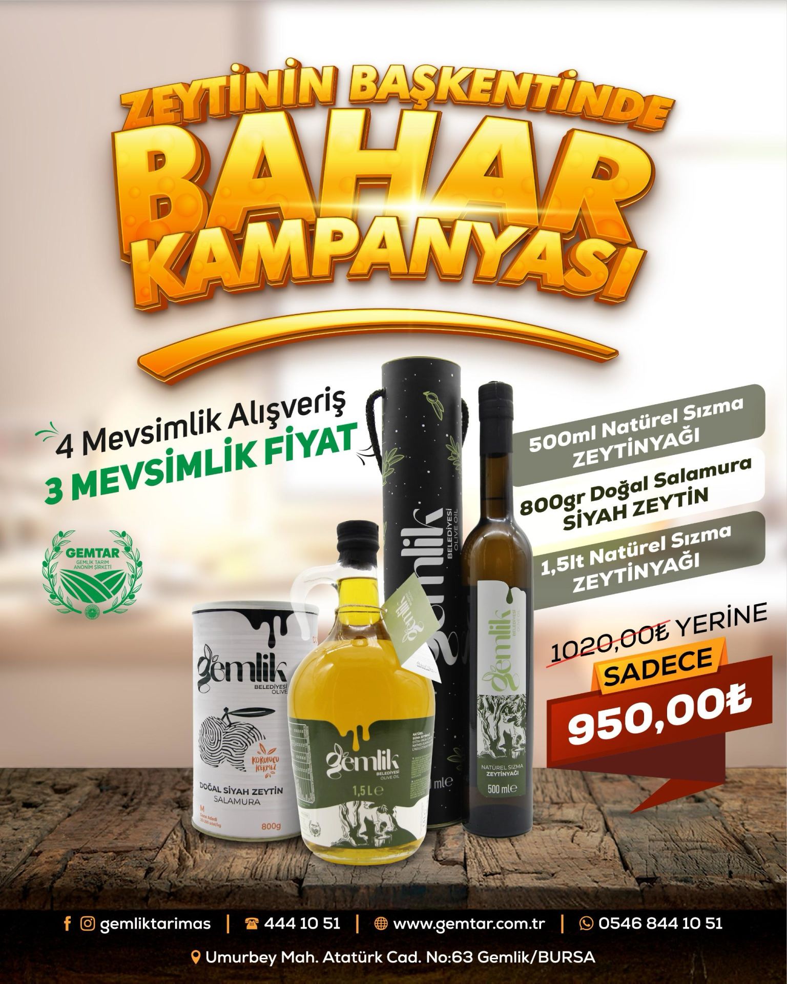 ZEYTİNİN BAŞKENTİNDE BAHAR
