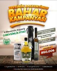 ZEYTİNİN BAŞKENTİNDE BAHAR