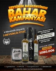 ZEYTİNİN BAŞKENTİNDE BAHAR