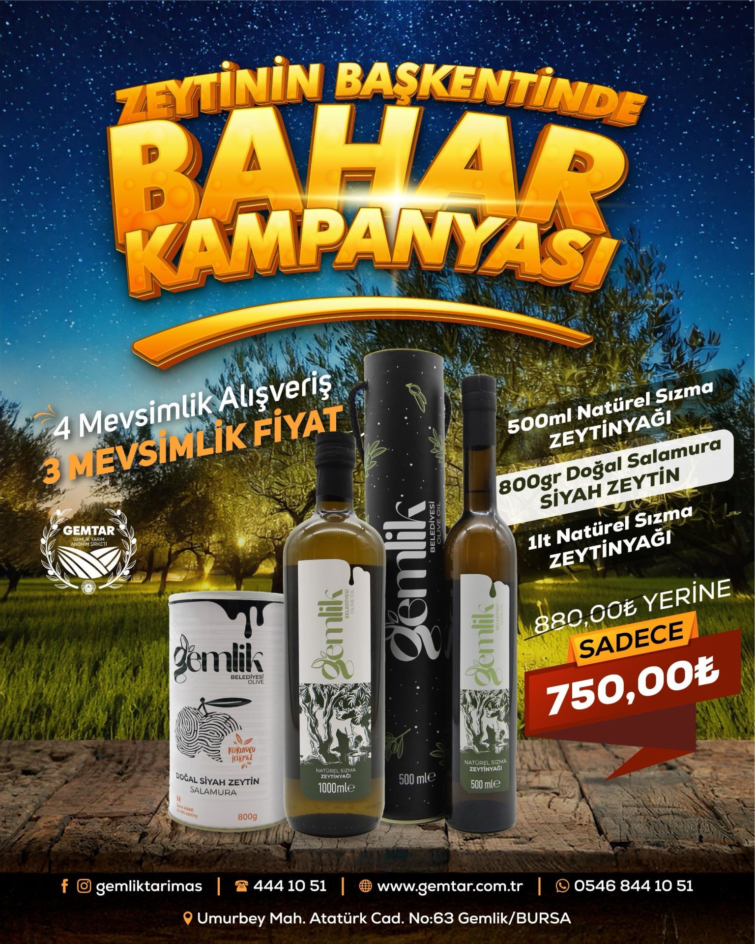 ZEYTİNİN BAŞKENTİNDE BAHAR