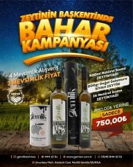 ZEYTİNİN BAŞKENTİNDE BAHAR