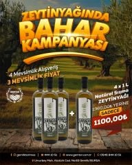 ZEYTİNİN BAŞKENTİNDE BAHAR