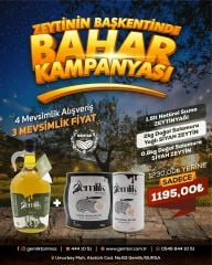 ZEYTİNİN BAŞKENTİNDE BAHAR
