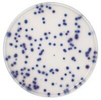 Coliform Agar Chromocult